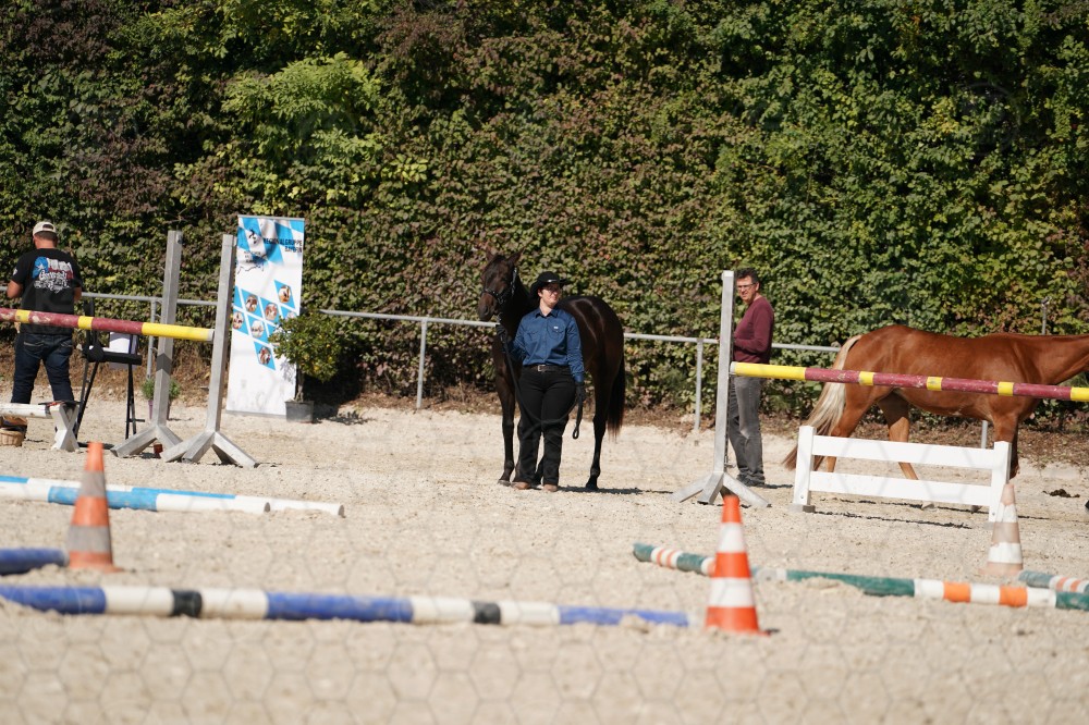 s_A_907658.JPG